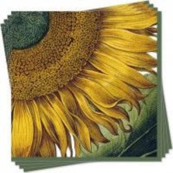 Serviette Sonnenblume
