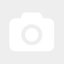 Apple iPad mini 2 Retina Guter Zustand