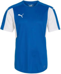 PUMA Fußballtrikot »Dominate«