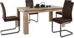 Steinhoff Essgruppe »Maik+Lilly«, Breite 160 cm + 4 Freischwinger