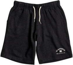 DC Shoes Sweat Shorts »Rebel«