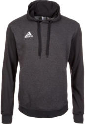 adidas Performance Kapuzensweatshirt »Tiro 17«