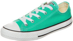 Converse Sneaker »Chuck Taylor All Star Fresh Colors«