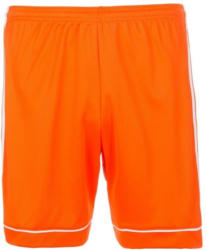 adidas Performance Funktionsshorts »Squadra 17«