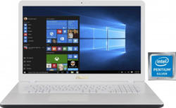 Asus F705MA-BX030T Notebook (43,94 cm / 17,3 Zoll, Intel, 1000 GB HDD)