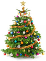 Dehner Gartencenter 20% Rabatt auf klassische Weihnachtsartikel - bis 24.12.2014