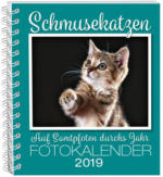 Weltbild Schmusekatzen Fotokalender 2019 - bis 31.12.2018