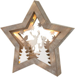 LED Holzstern mit Landschafts-Motiv