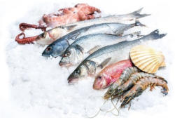 -20% auf das gesamte Frischfisch- und Meeresfrüchte-Sortiment in Bedienung