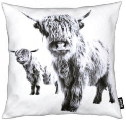 Dekokissen, »Highland Cows«, Juniqe