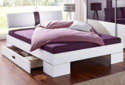 Matraflex Futonbett