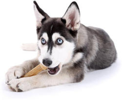 -25% auf Pedigree DentaStix