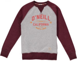 O'Neill Sweat »Santa Cruz«