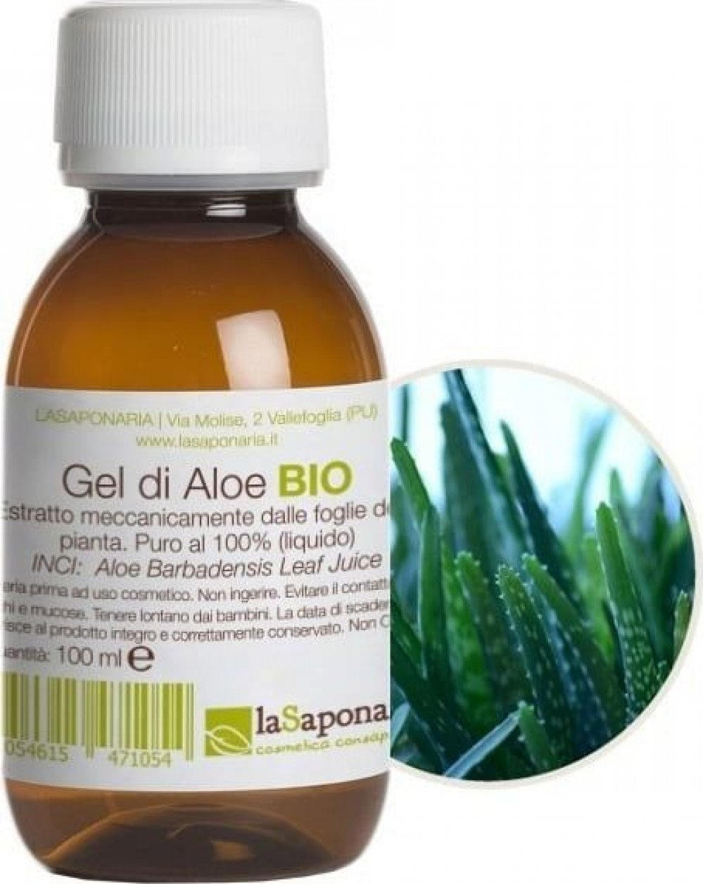 Aloe barbadensis Leaf Juice. Aloe barbadensis противогрибковое.