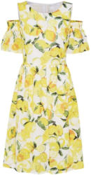 Kleid ´Alemy´