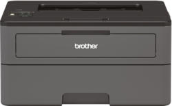 Brother HL-L2370DN Monolaserdrucker 64MB RAM USB 2.0 bis zu 34 S/Min. BRANDNEU
