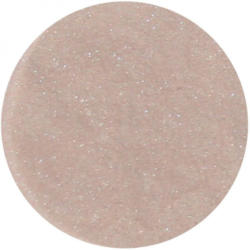 Provida Organics Earth Minerals Luminous Shimmer Powder - Whisper