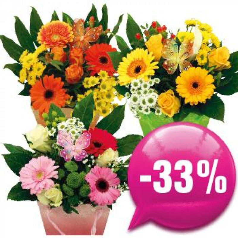 Flowers To Go Für Nur € 9,9 Statt € 14,9 ️ Online Von Blumen B&B ...