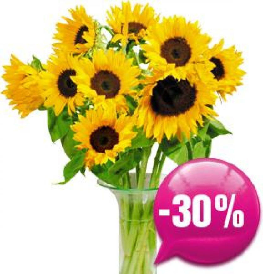 Sonnenblumen Für Nur € 6,9 Statt € 9,9 ️ Online Von Blumen B&B ...