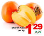 ETSAN Sharon Kaki - bis 08.11.2016