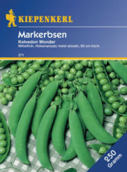 Markerbsen - Kelvedon Wonder, 250 g Mega-Pack