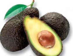 Bio-Avocado „Hass”