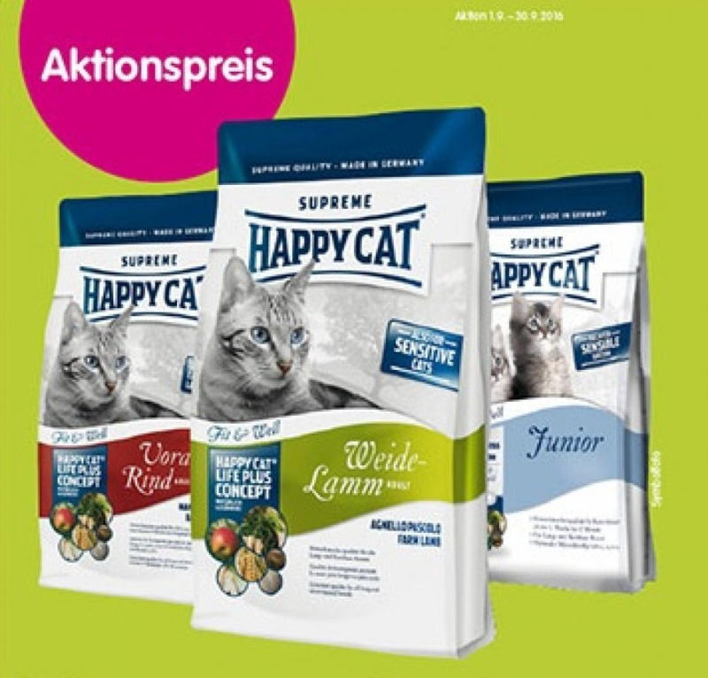 Happy Cat