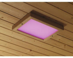LED Farblichtanwendung Karibu Premium 320x240x38 mm inkl Fernbedienung