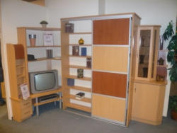 Wohnzimmer S101