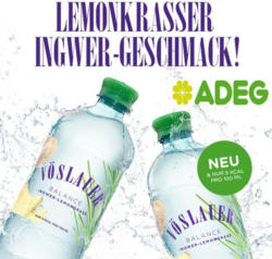Vöslauer Balance Ingwer-Lemongrass