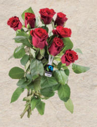 Rosen Faintrade