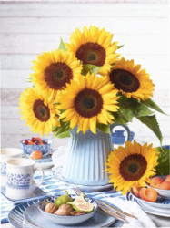 Sonnenblumen