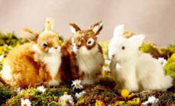 Osterhase