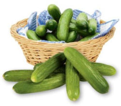 Knackige Mini Snack Gurken