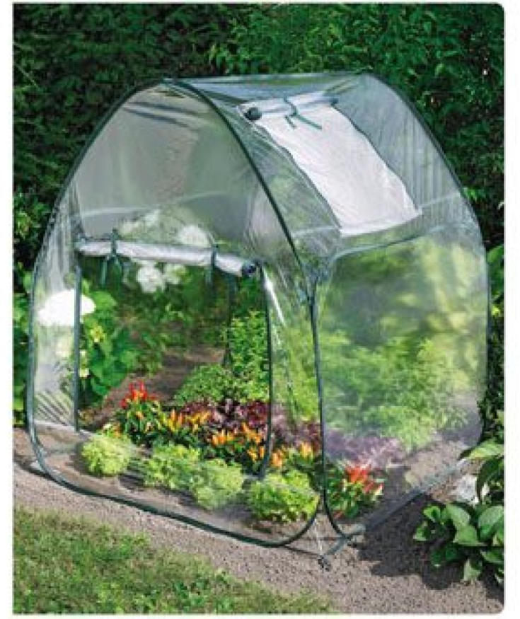 wogibtswas.at Pop Up Gewächshaus € 14,99 bei PENNY