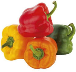 Ich bin Österreich Paprika Bunt