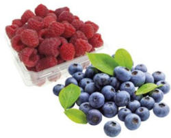 Heidelbeeren oder Himbeeren