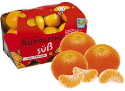 Rudolfinen