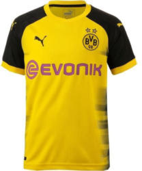 Borussia Dortmund 17/18 International Fußballtrikot