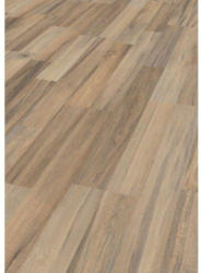 Teak