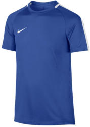 Nike Dry