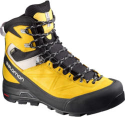 Salomon X Alp MTN GTX