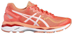 Asics Gel-Kayano 23
