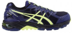 ASICS Herren Traillaufschuh Gel Fuji Trabucco GTX