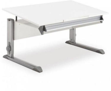 Moll Schreibtisch Bandit 2021 Moll Schreibtisch Bandit 2021