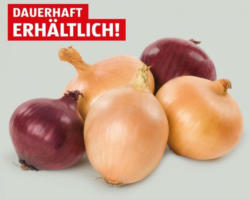 Zwiebeln gelb/rot aus Österreich