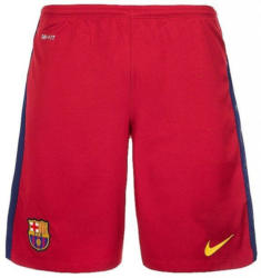NIKE Herren Heimshort FC Barcelona Replica