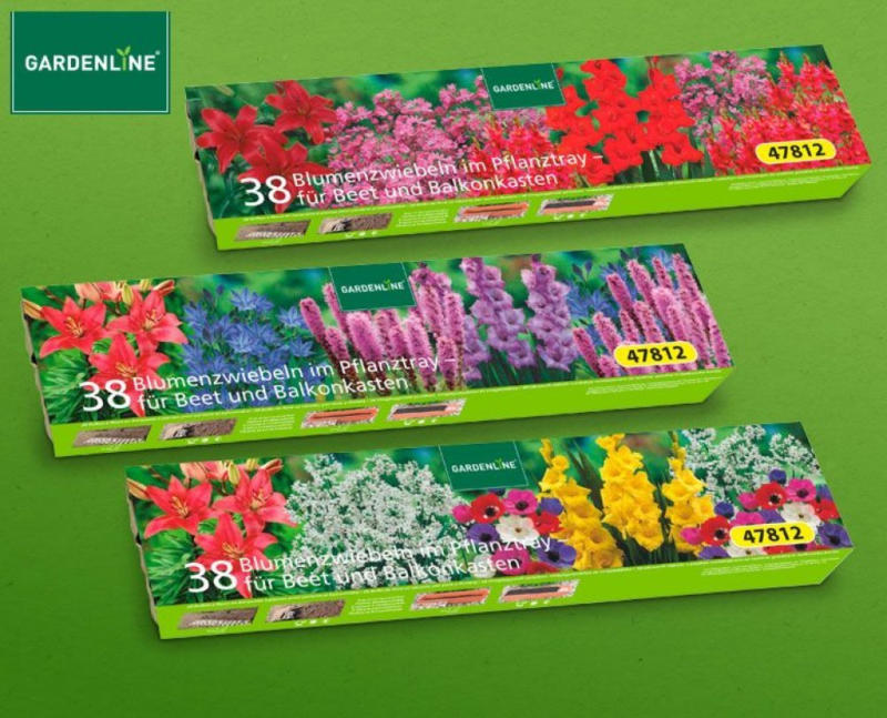 GARDENLINE Blumenzwiebeln