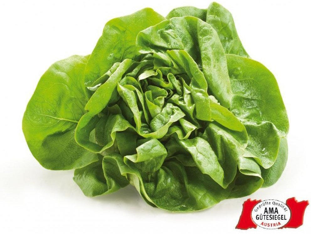 Gr ner Salat Aus sterreich F r Nur 0 59 Statt 0 99 Online Von 