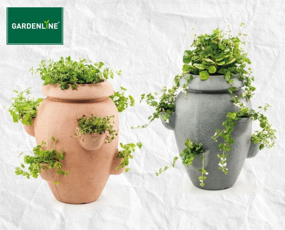 GARDENLINE Erdbeer-/Kräuter-Pflanztopf ️ Online von HOFER - wogibtswas.at